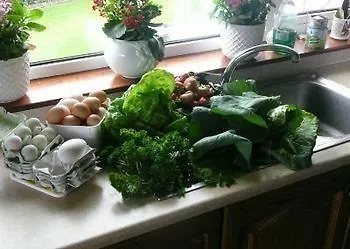 Dawn House Kilmeaden