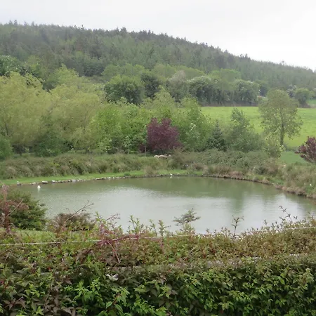 Dawn House Bed & Breakfast Kilmeaden