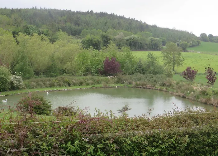 Dawn House B&B Отель типа 